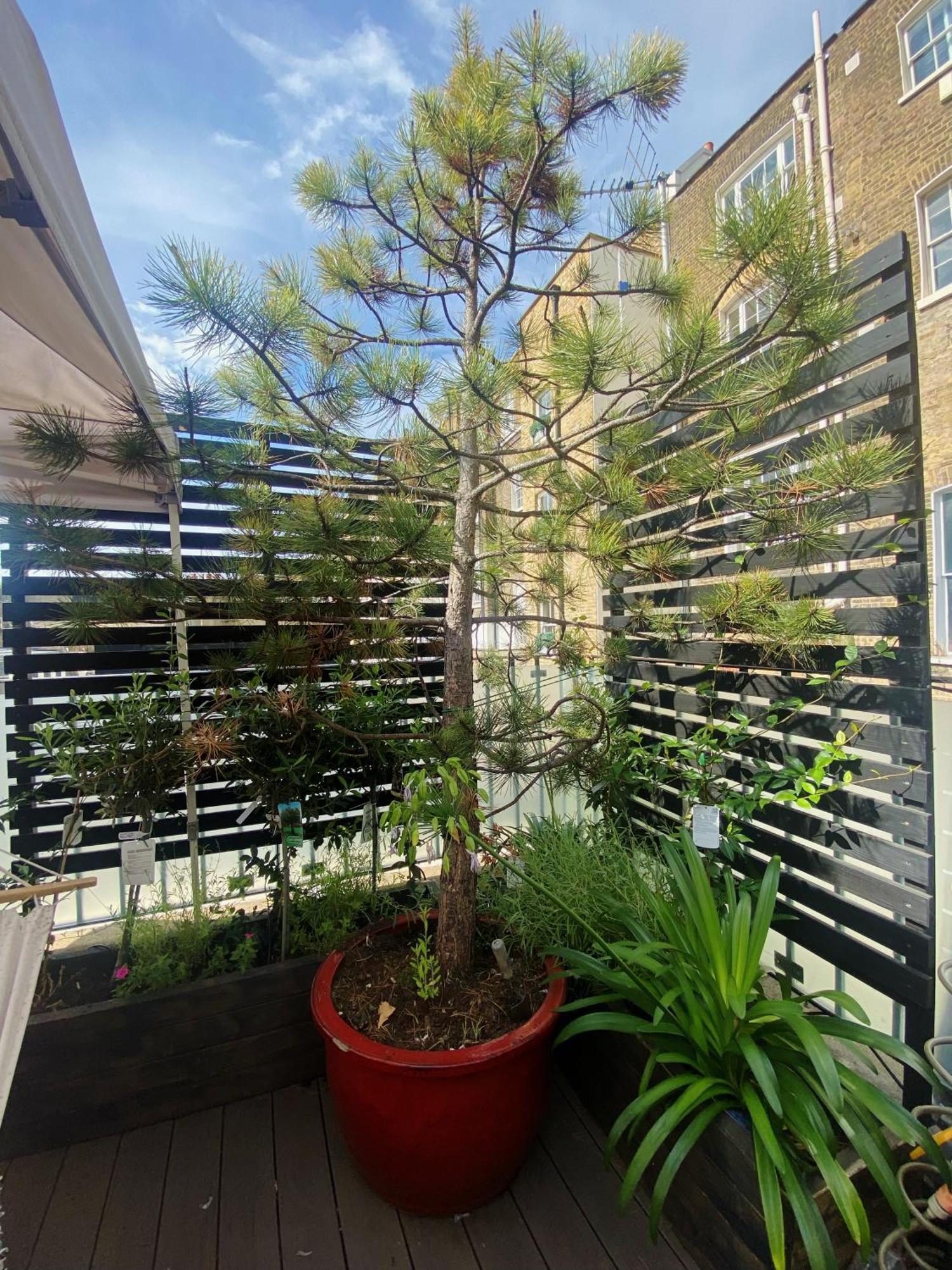 Villa Luxury Belgrave Square Private Mews Townhouse Londres Exterior foto